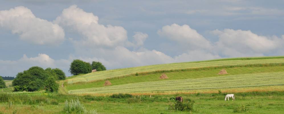 
            Фотография Дегтева