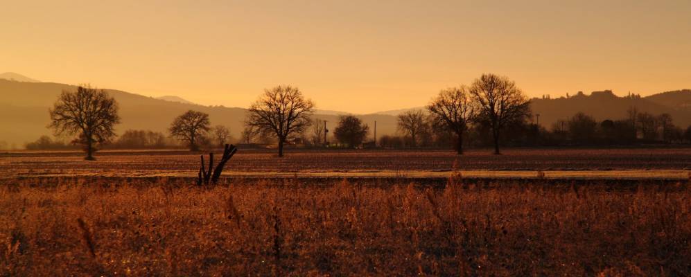 Фотография Розии