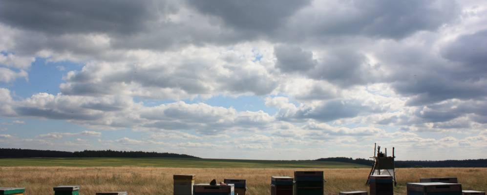 
            Фотография Коренного