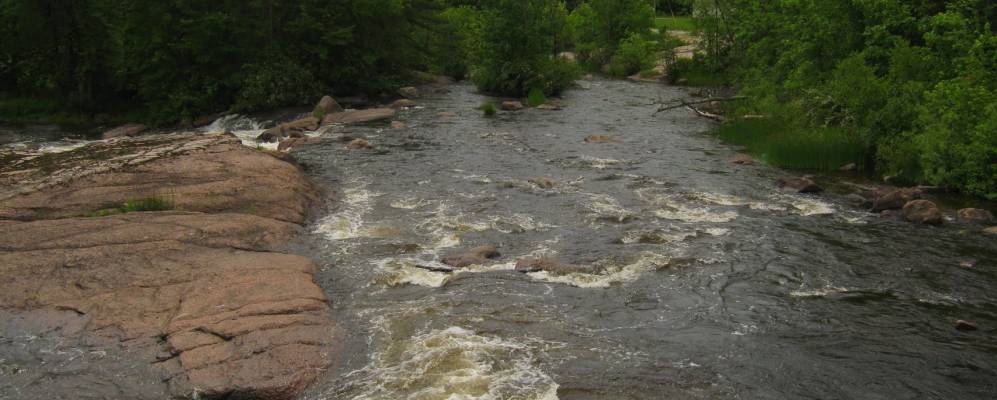 
            Фотография Кешены