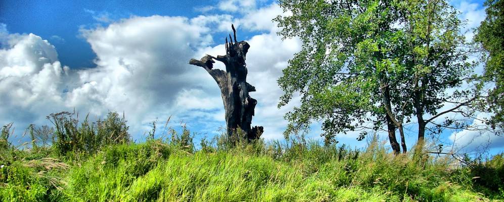 
            Фотография Андреевки