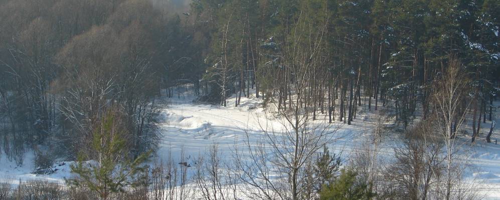 
            Фотография Сенюков