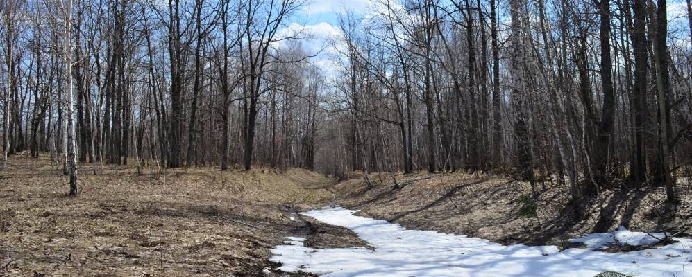 Фотография Узбяка