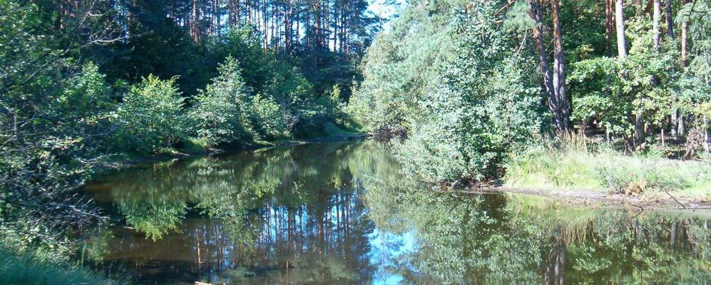 
            Фотография Мащи