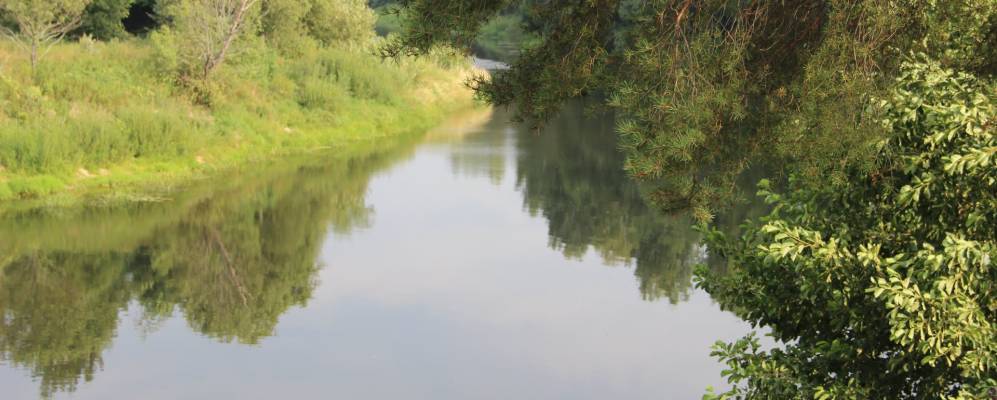 
            Фотография Ходилок