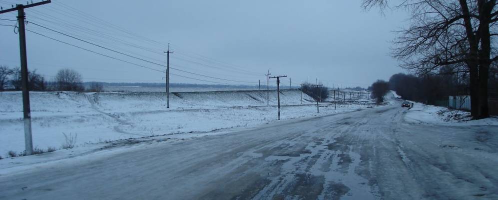 
            Фотография Балабушины Вербы