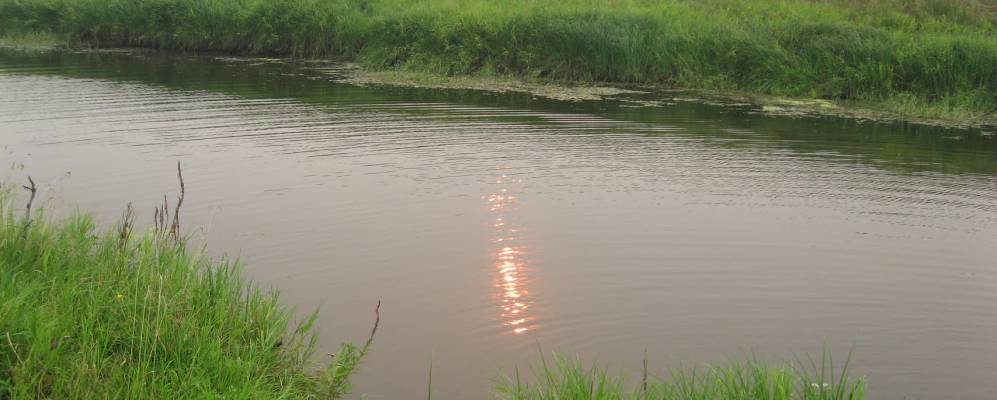 
            Фотография деревни Займищи