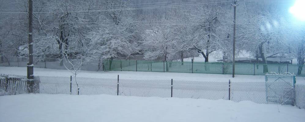 
            Фотография Топольницы