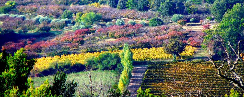 
            Фотография Бловак