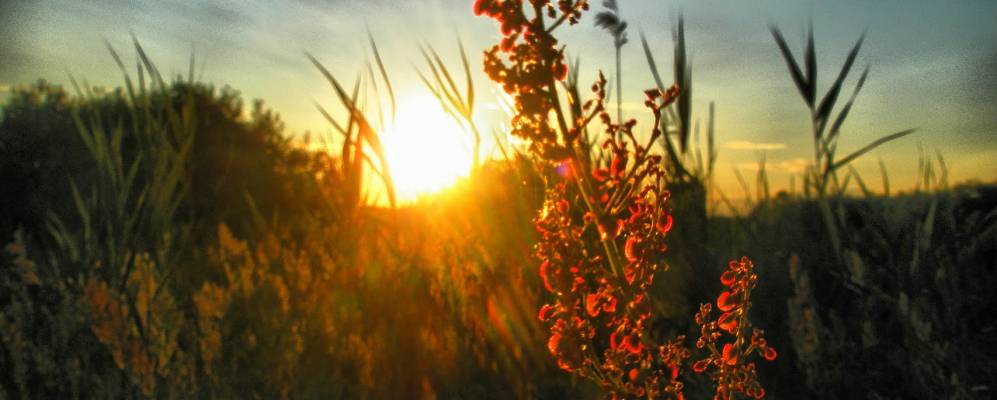 
            Фотография Старые Боровичи