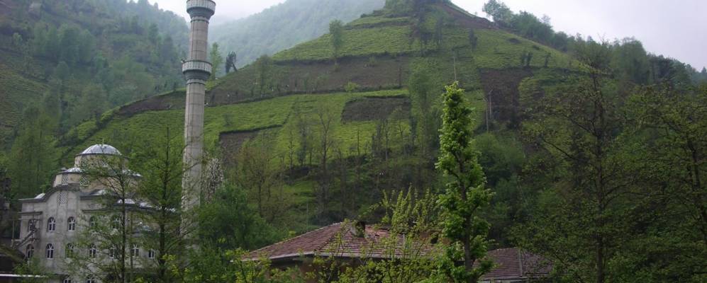 
            Фотография Dikkaya