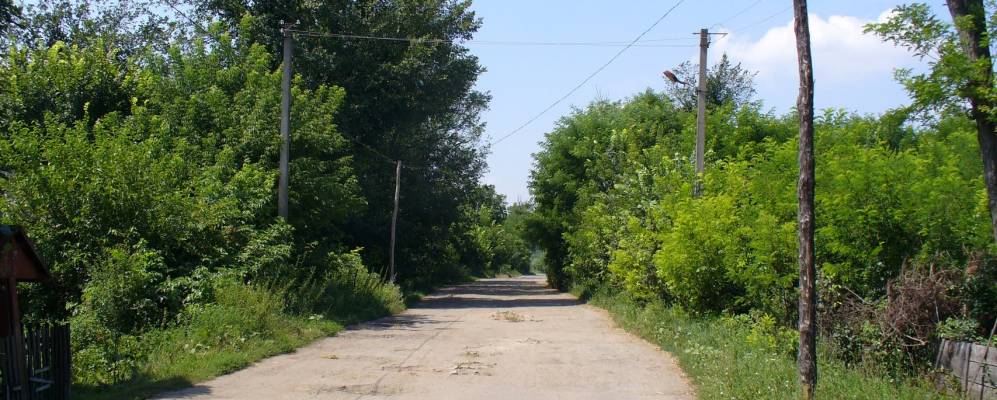 Фотография Любомирки