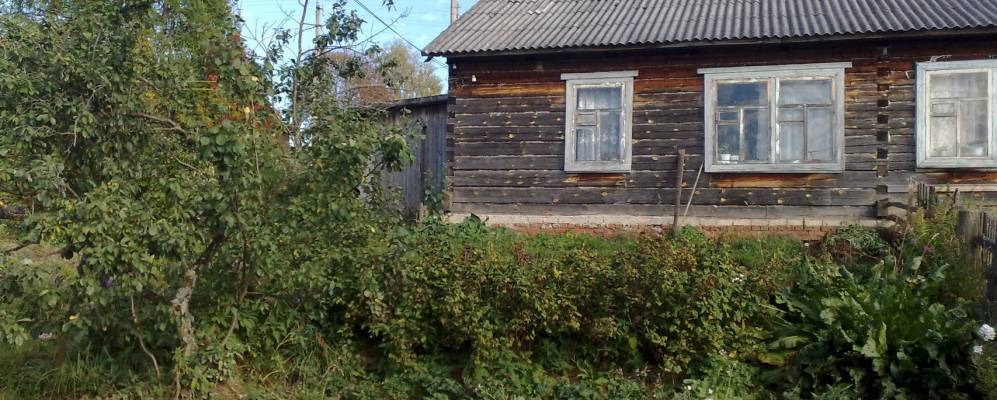 Фотография Мартыново