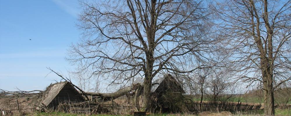 Фотография Дымово