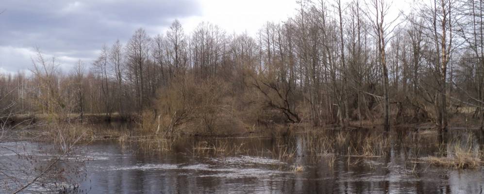 
            Фотография деревни Лищицы