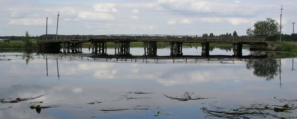 
            Фотография Березичей