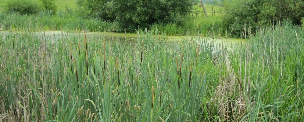 
            Фотография Золотковичей