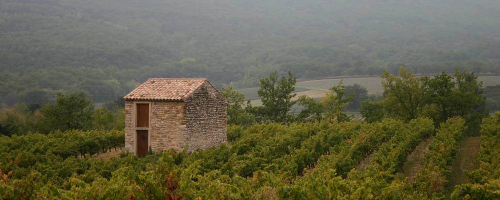 Фотография Сюз-ла-Руса