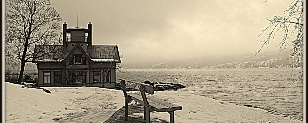 
            Фотография Дробака