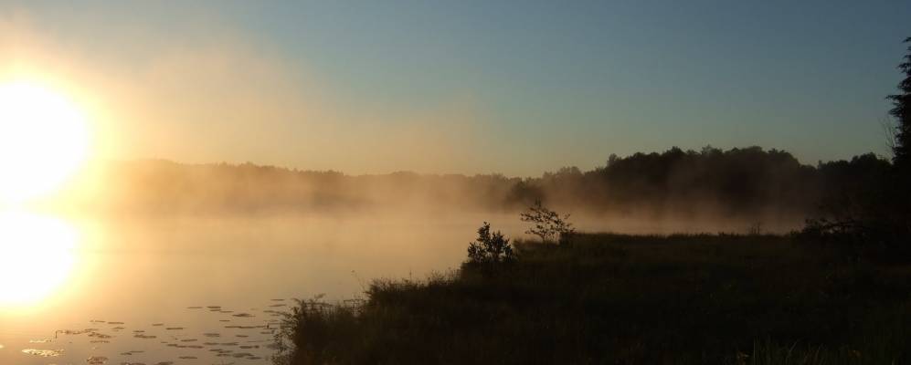 
            Фотография Долбеево