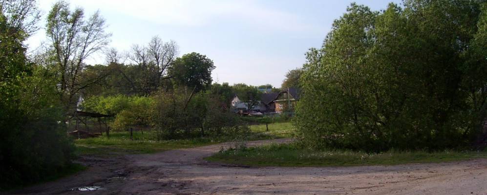 
            Фотография Листвина