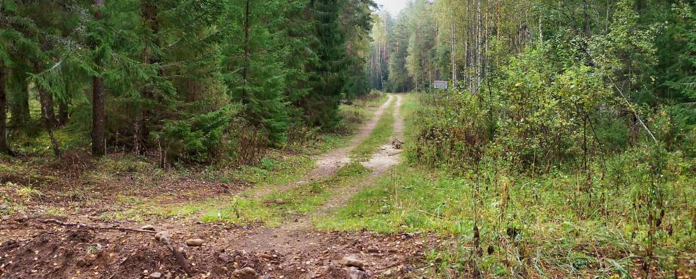 
            Фотография деревни Прошки