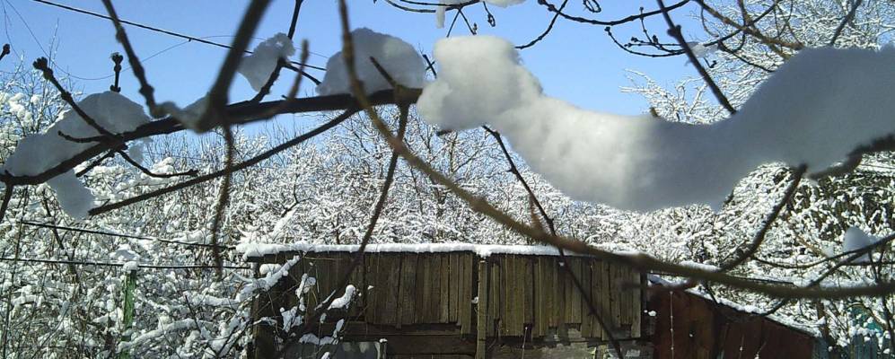 
            Фотография Ясной Поляны