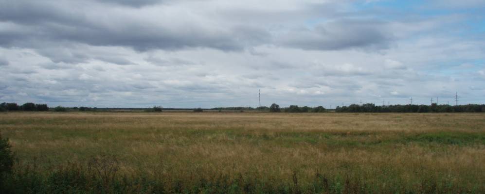 
            Фотография Усть-Заостровки