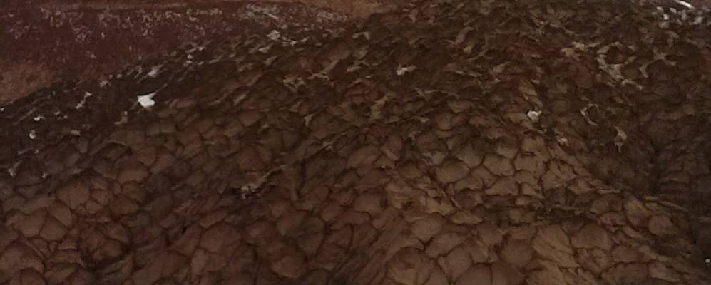 Фотография Борока