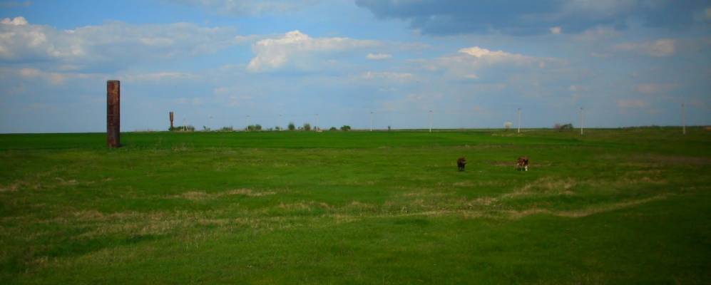 
            Фотография Цибулевки