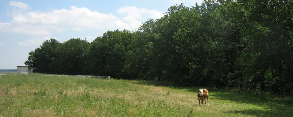 
            Фотография Олейников