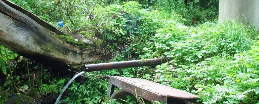 Фотография Кононыхино