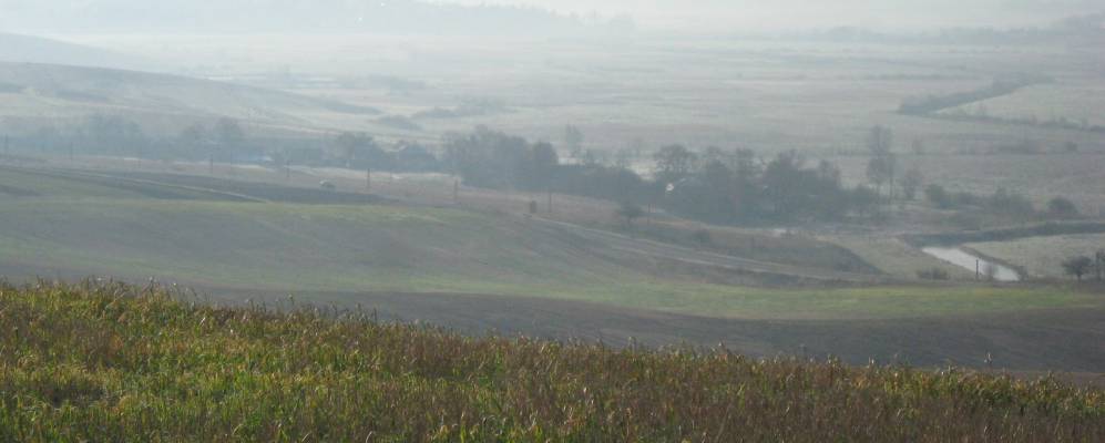 
            Фотография Луковища