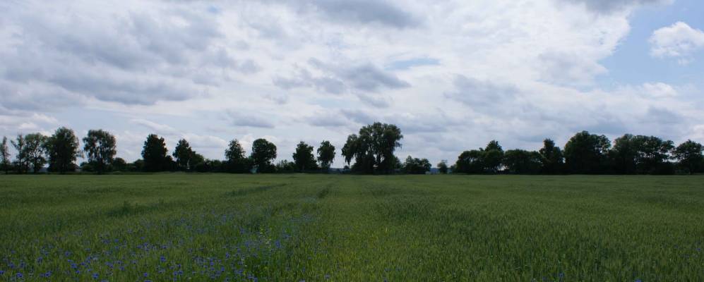 
            Фотография Андреевки