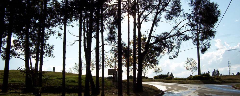 Фотография Пиньяйс