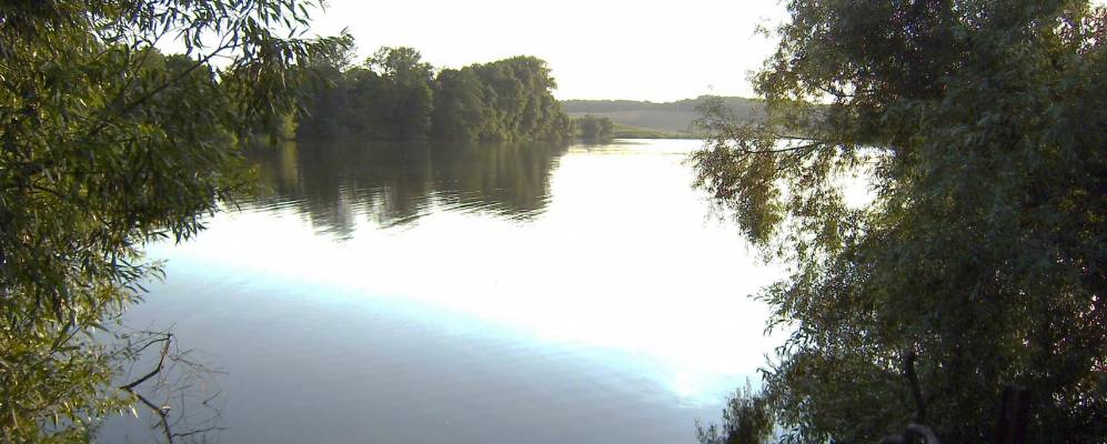 
            Фотография Кошелевки