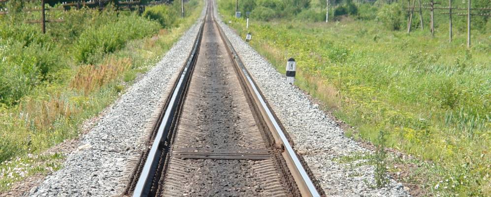 
            Фотография Круглого