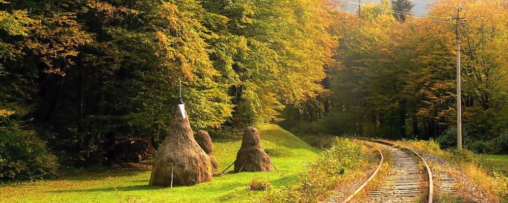 
            Фотография Круглого