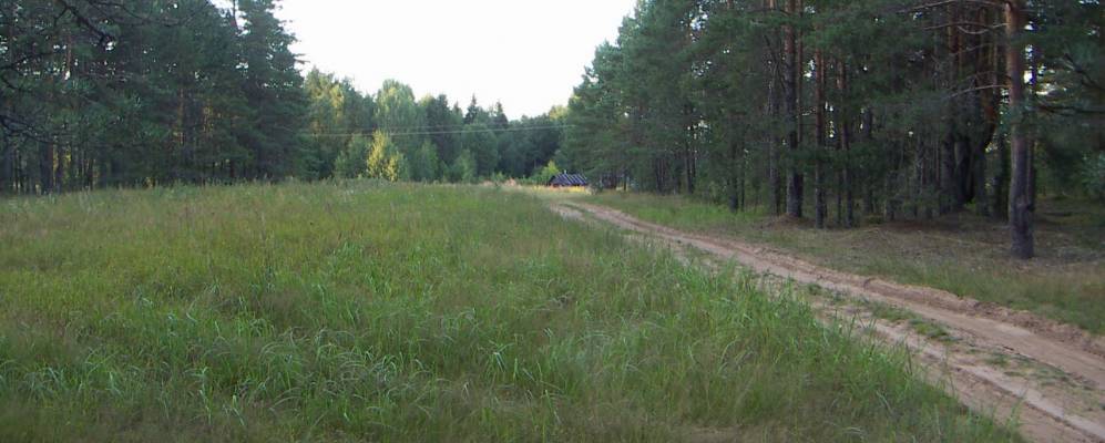 
            Фотография Полоного