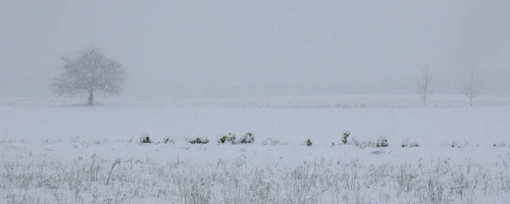 
            Фотография Сент-Илер-дю-Розье