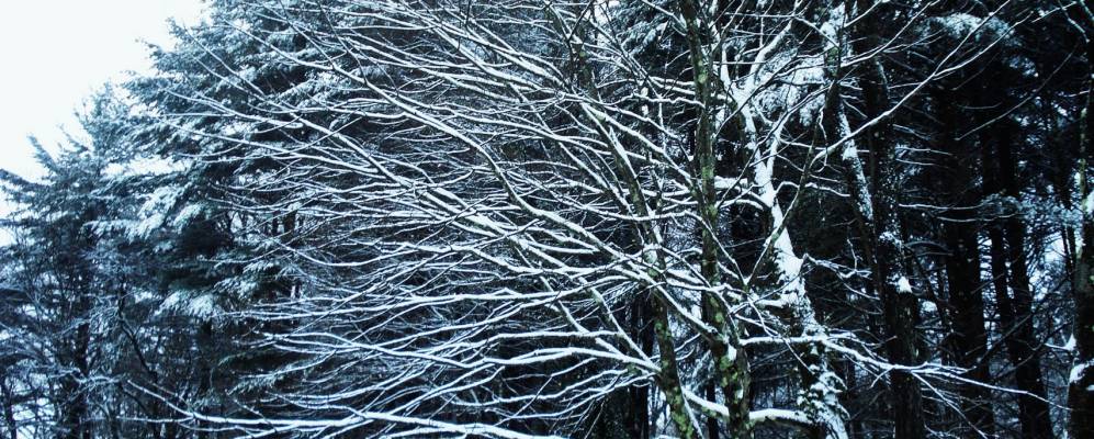 
            Фотография Кантон Велли