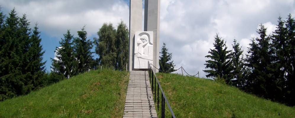 
            Фотография Дубинки