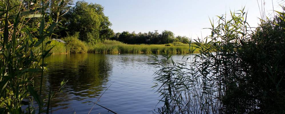 
            Фотография Миновки