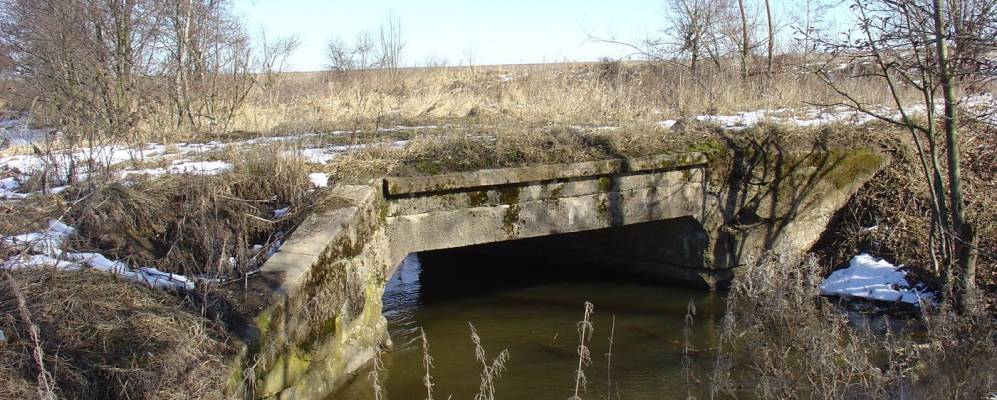 
            Фотография Кошевого