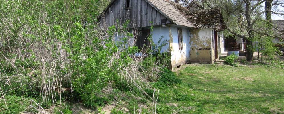 
            Фотография Ястребкова