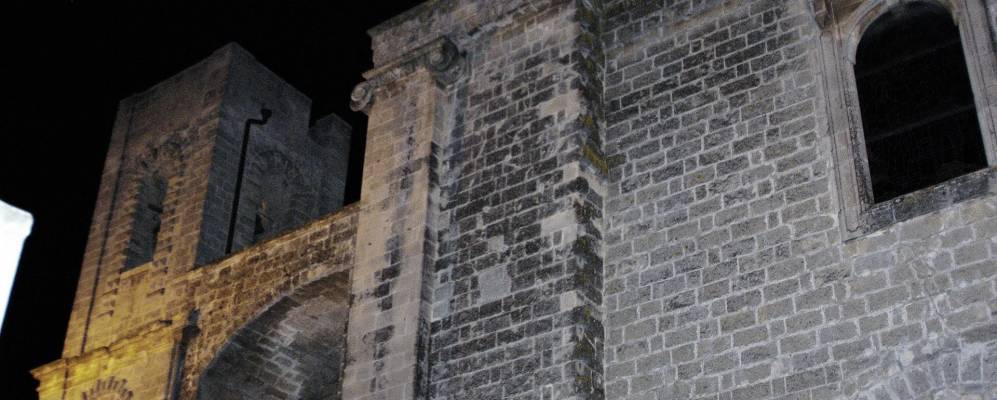 
            Фотография Каровиньо