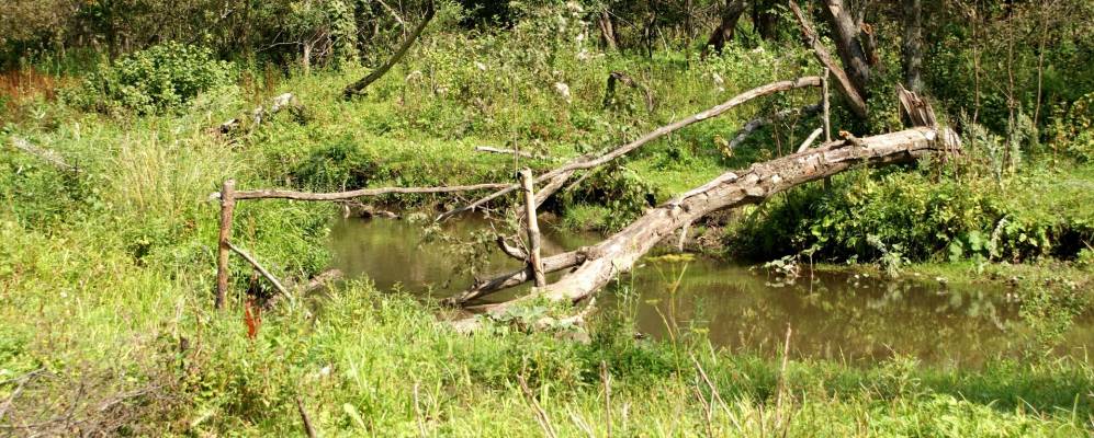 Фотография Урманчино