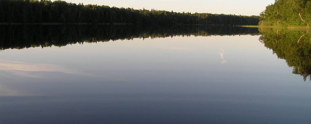 
            Фотография Пелково