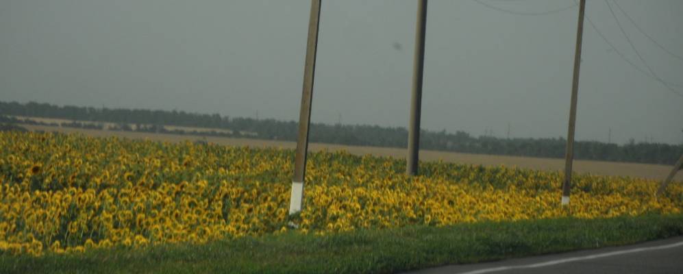 
            Фотография Кугея