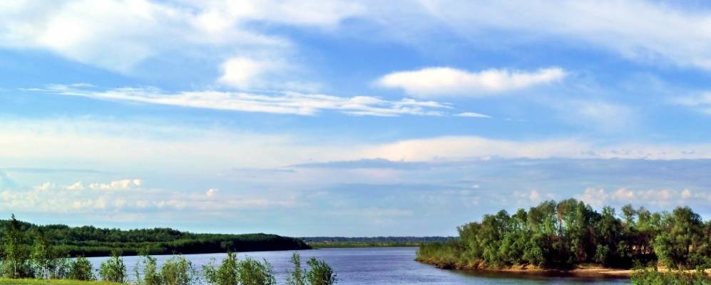 
            Фотография Мягково